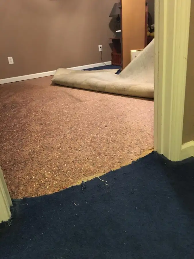 Carpet pad removal revealing water damage during Water Mitigation Services in Clearwater