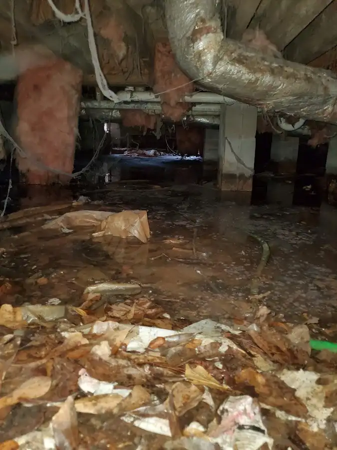 Crawl space flood assessment for Commercial Water Damage Restoration in Clearwater