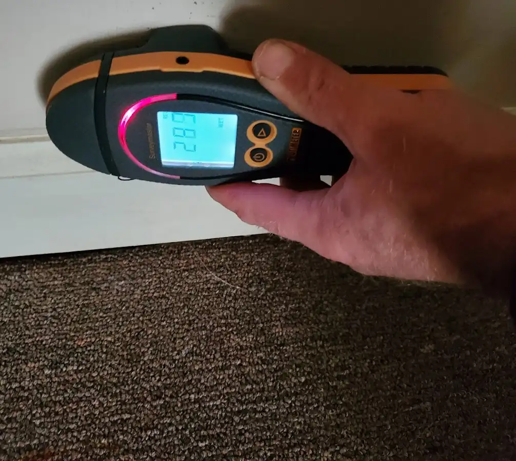 Moisture detection at baseboard during Sewage Cleanup & Sanitation in Clearwater